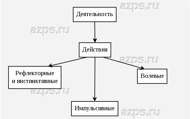 Виды действий