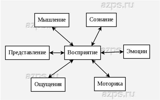 Связь восприятия с другими психическими процессами